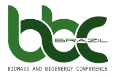 Logo de II Biomass and Bioenergy Conference